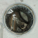 共用マス清掃イメージ01